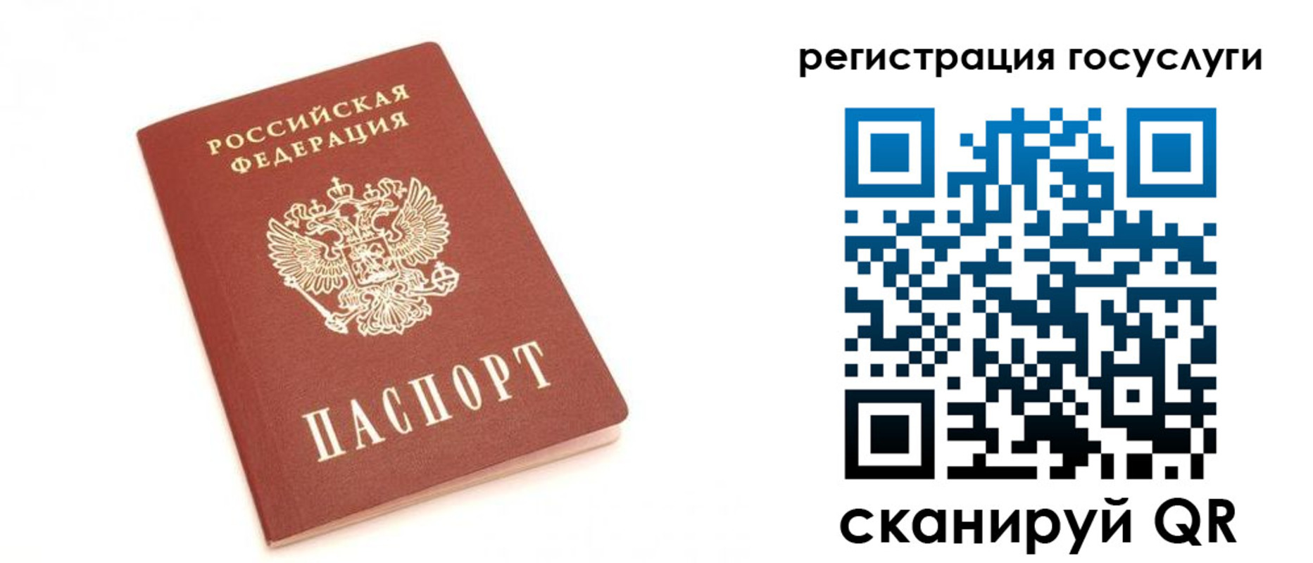 прописка для школы в Новосибирской области